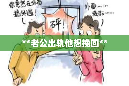 **老公出轨他想挽回**