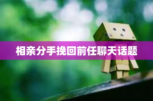相亲分手挽回前任聊天话题