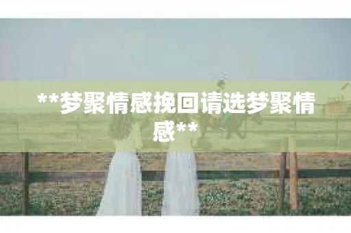 **梦聚情感挽回请选梦聚情感**
