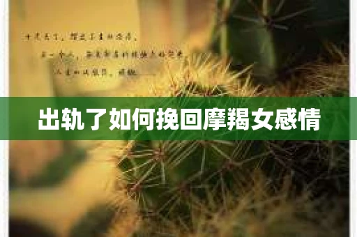 出轨了如何挽回摩羯女感情