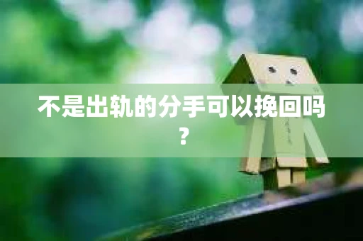 不是出轨的分手可以挽回吗？