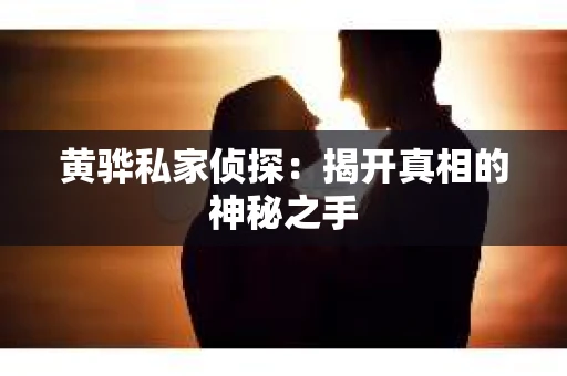 黄骅私家侦探：揭开真相的神秘之手