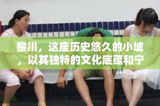 黎川，这座历史悠久的小城，以其独特的文化底蕴和宁静的生活节奏吸引着无数游客。然而，在这样一个看似平静的城市里，你是否会好奇，有没有私家侦探机构的存在呢？今天，就让我带你一探究竟。