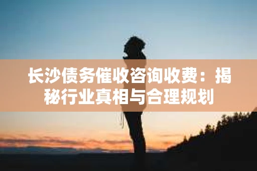 长沙债务催收咨询收费：揭秘行业真相与合理规划