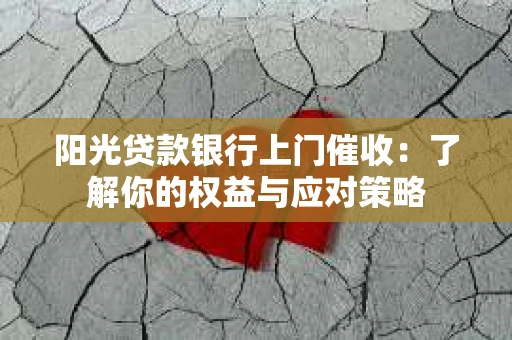 阳光贷款银行上门催收：了解你的权益与应对策略