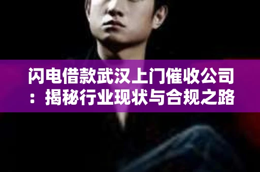闪电借款武汉上门催收公司：揭秘行业现状与合规之路