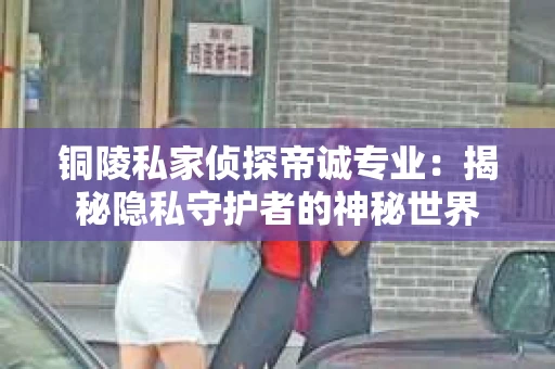 铜陵私家侦探帝诚专业：揭秘隐私守护者的神秘世界