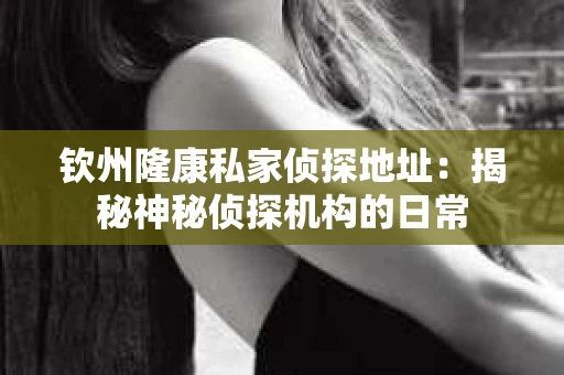钦州隆康私家侦探地址：揭秘神秘侦探机构的日常
