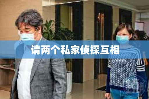 请两个私家侦探互相