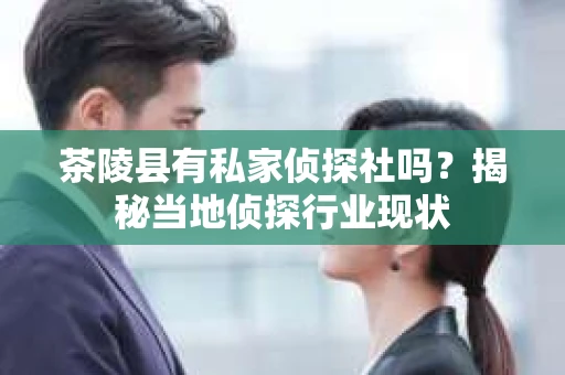 茶陵县有私家侦探社吗？揭秘当地侦探行业现状