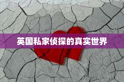 英国私家侦探的真实世界