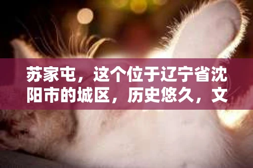 苏家屯，这个位于辽宁省沈阳市的城区，历史悠久，文化底蕴深厚。近年来，随着社会的发展，人们对于私家侦探的需求也逐渐增加。那么，苏家屯有私家侦探吗？今天，我们就来聊聊这个话题。