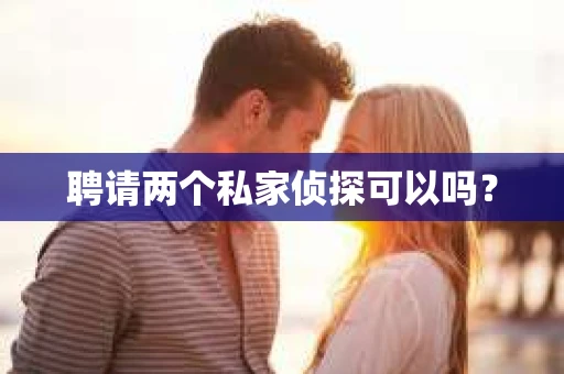 聘请两个私家侦探可以吗? 聘请两个私家侦探可以吗?