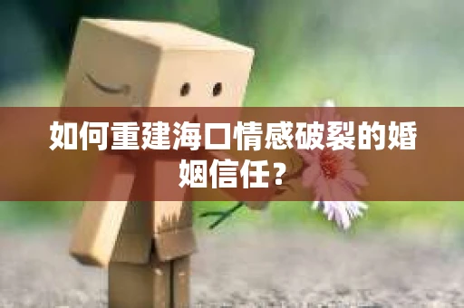 如何重建海口情感破裂的婚姻信任？