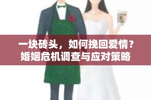 一块砖头，如何挽回爱情？婚姻危机调查与应对策略