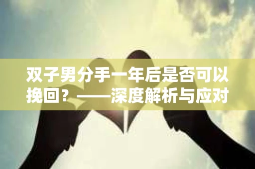 双子男分手一年后是否可以挽回？——深度解析与应对策略